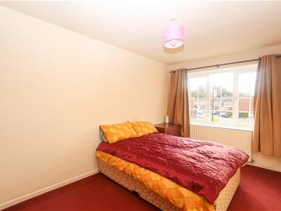 Picture 21